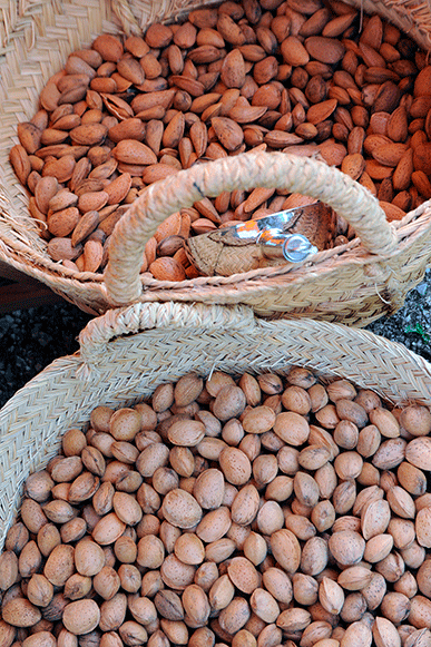 Amandes douces marcona au premier plan et largueta en fond. . 
Photographe Julie Lecomte