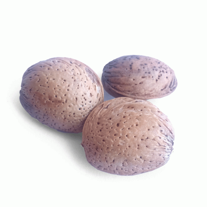 Amandes avec coque Marcona