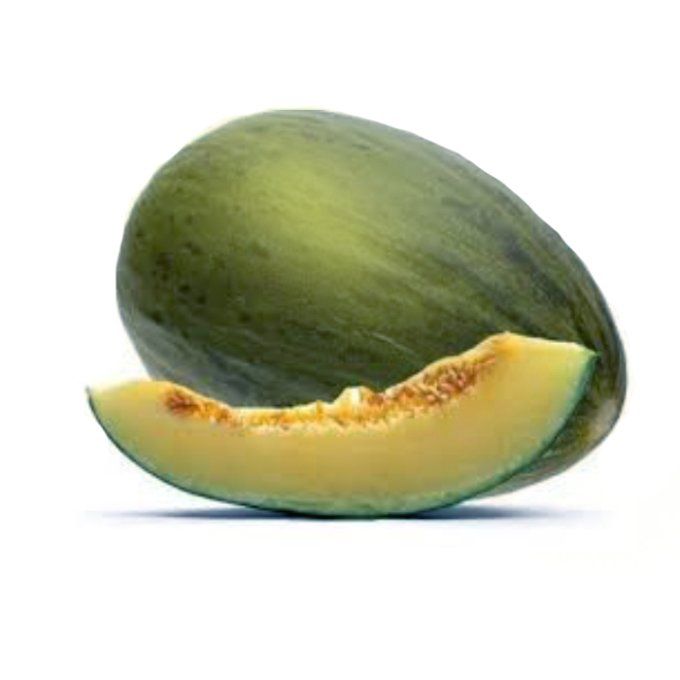 Melon Piel de sapo Bio