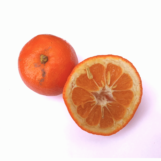 Oranges amères